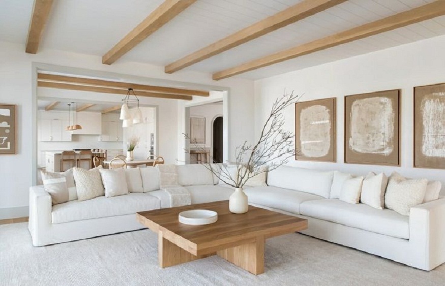 Discovering Sustainable Living Room Design in Los Angeles