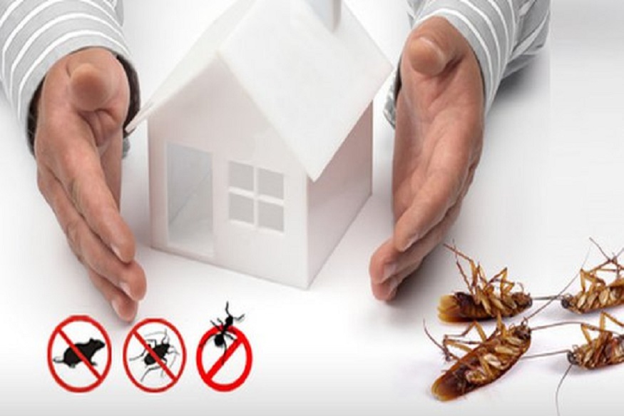 Pest Control Service