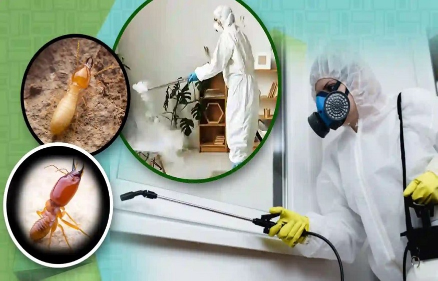 pest control